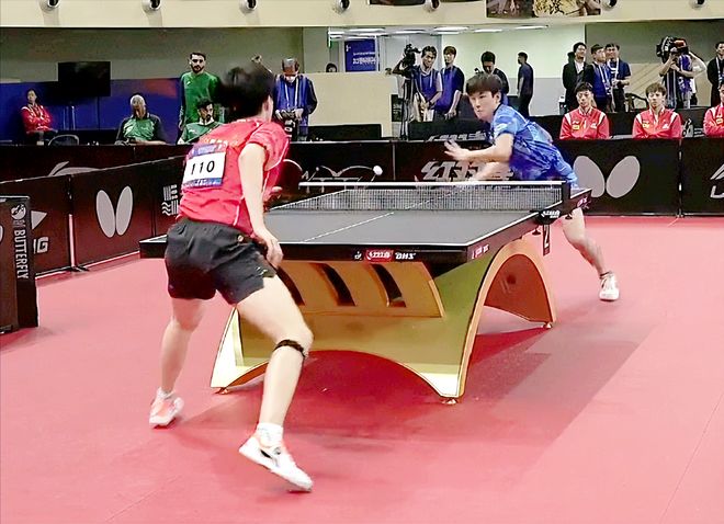 董事会的 董事会的